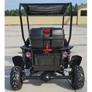 Buggy 60V 1200W