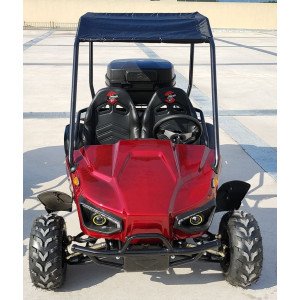 Buggy 60V rouge bi place