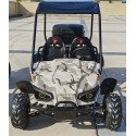 Buggy 60V