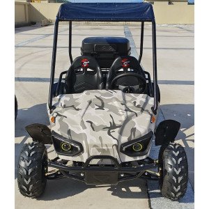 Buggy 60V