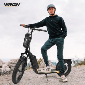 Trottinette 36V 500W