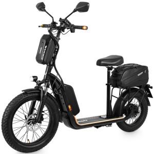 Trottinette électrique homologuée route