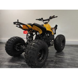 Moteur Brusless 48V pour sur quad électrique