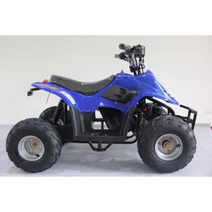 Quad électrique bridable 3 vitesses